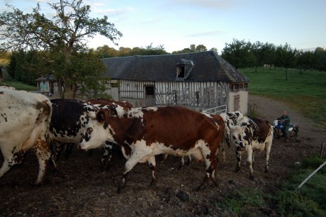 Fermes de découverte et fermes pédagogiques Fermes de découverte et fermes pédagogiques