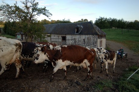 Fermes de découverte et fermes pédagogiques