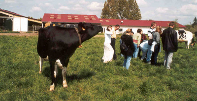 Fermes de découverte et fermes pédagogiques