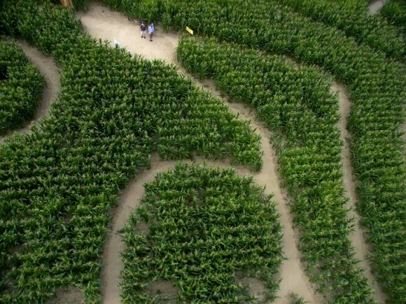 PARCS D'ATTRACTIONS / JEUX PARCS D'ATTRACTIONS / JEUX