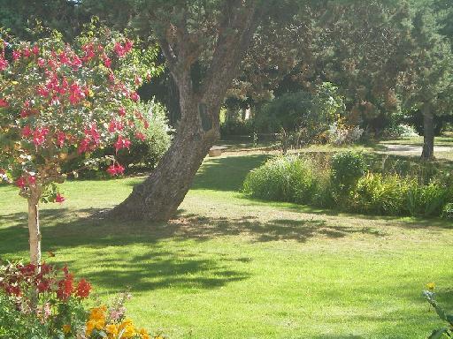 Parcs, jardins, forêts... Parcs, jardins, forêts...