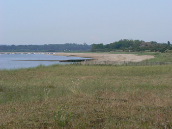 Parcs, jardins, forêts... Parcs, jardins, forêts...