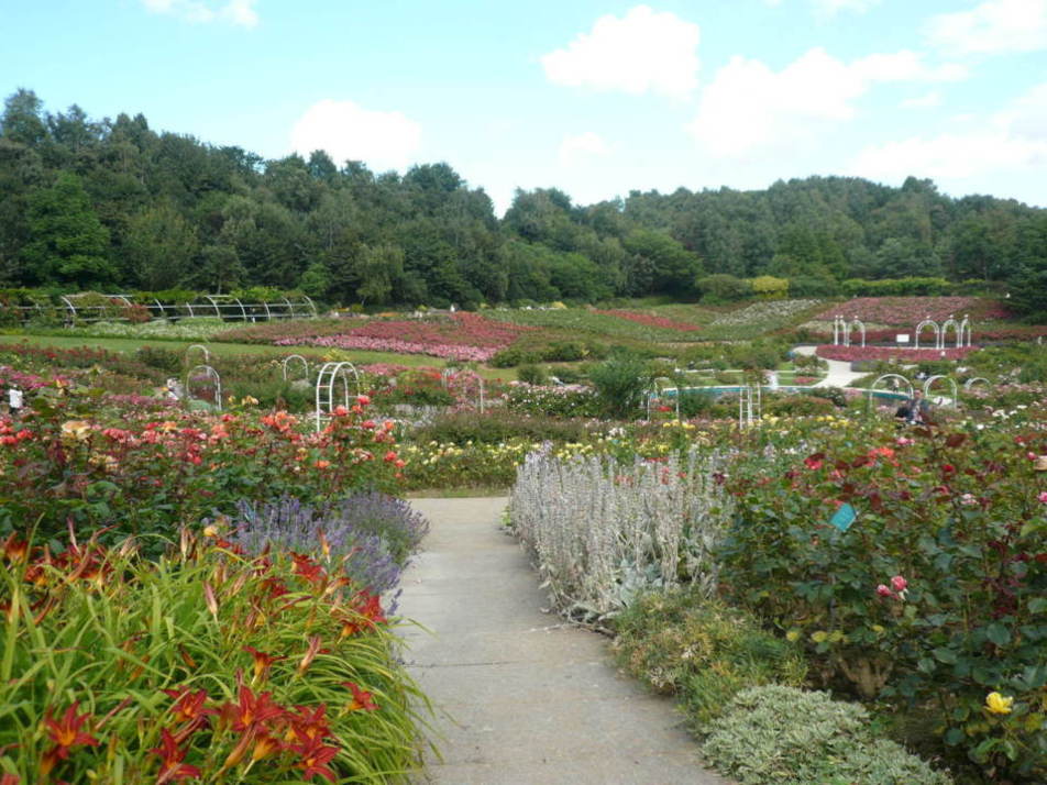 Parcs, jardins, forêts...