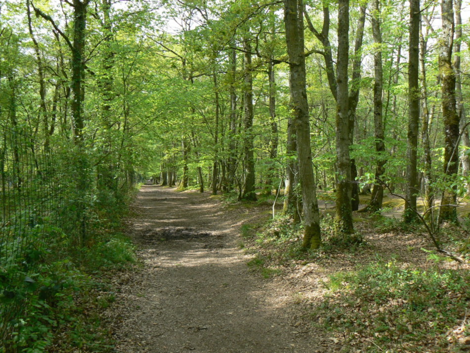 Parcs, jardins, forêts...