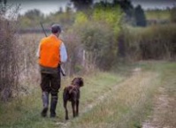 ASSOCIATION DE CHASSE ASSOCIATION DE CHASSE