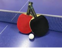 SECTION PING PONG