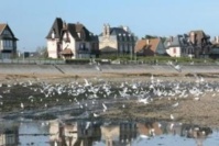 Villas du front de mer Villas du front de mer