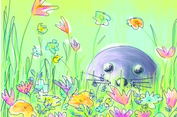 Biodiversité 🌷🦭