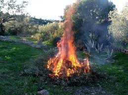 Projet arrêté permanent réglementant le brûlage des déchets végétaux à l’air libre pour le Calvados