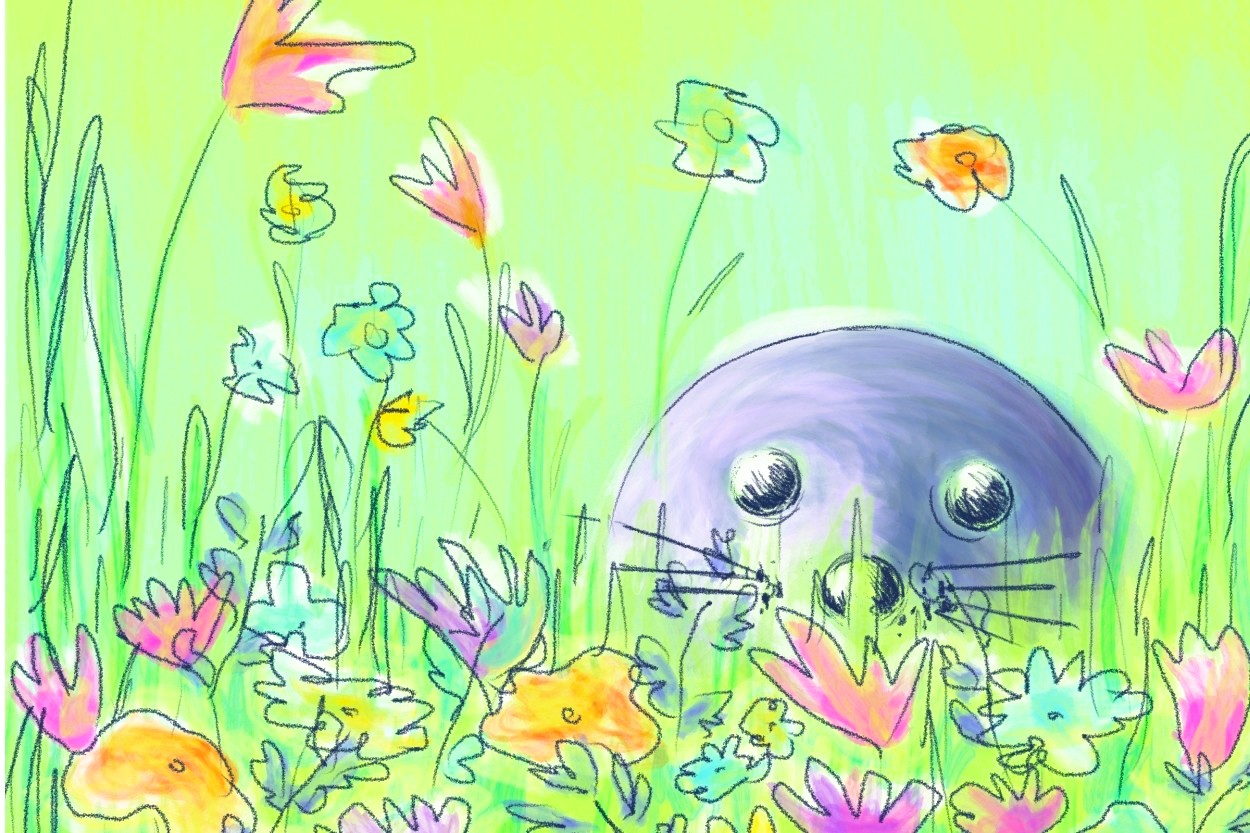 Biodiversité 🌷🦭