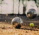 AMICALE PETANQUE