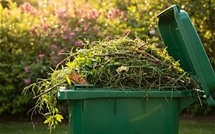 Perturbation collecte des déchets verts