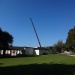 Grue 24 09 2013 1