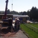 Grue 24 09 2013 2
